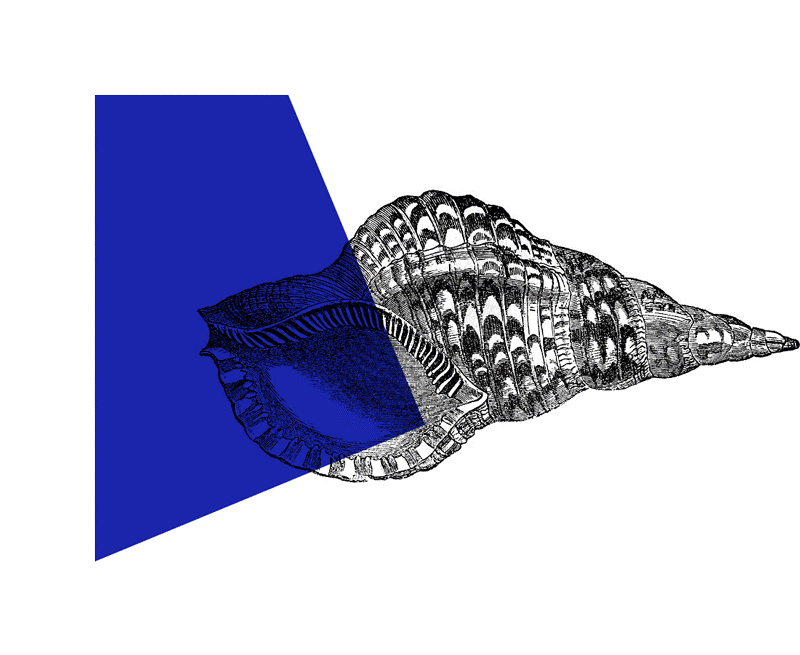 PEEA - Programa de Educação Estética e Artística